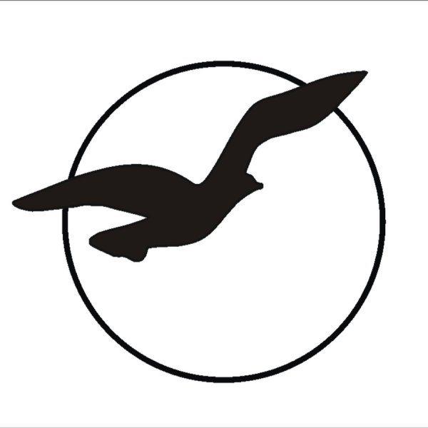 Снегирь флэт