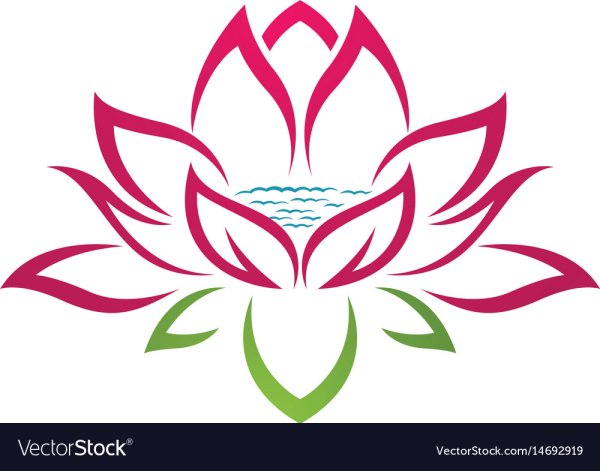 Лотос вектор