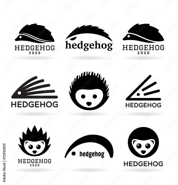 Логотип в виде ежа