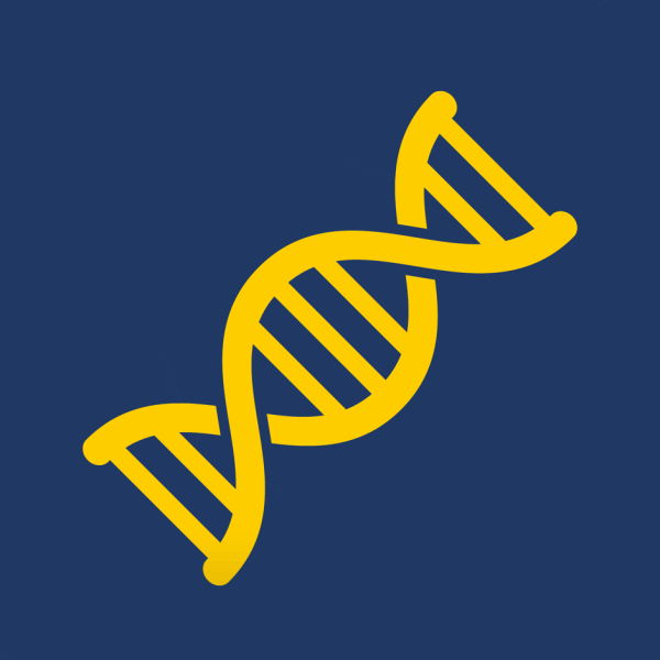 Шиномонтаж значок