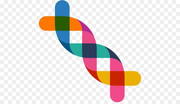 ДНК человека