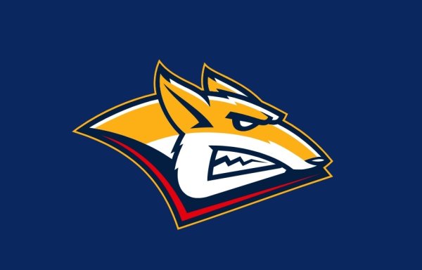 Эмблема Металлург Магнитогорск хоккейный клуб