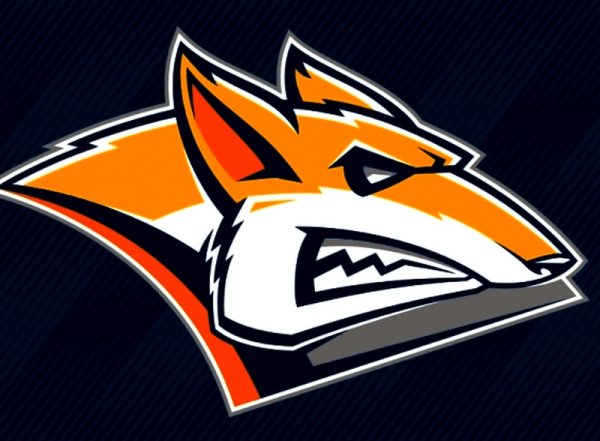 Металлург Магнитогорск лиса