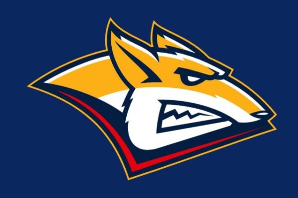 Металлург Магнитогорск лиса