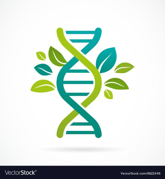 Иконки по биологии