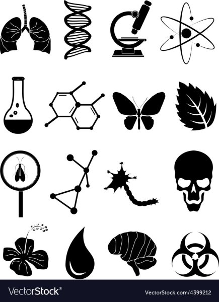 ДНК человека логотип