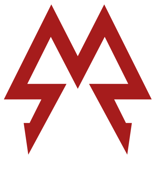 Спарта метро 2033 эмблема