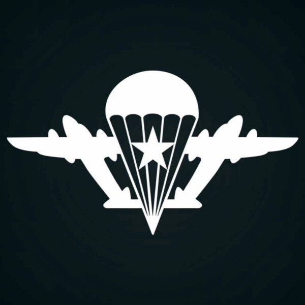 Эмблема ВДВ на машину