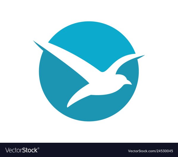 Чайка символ