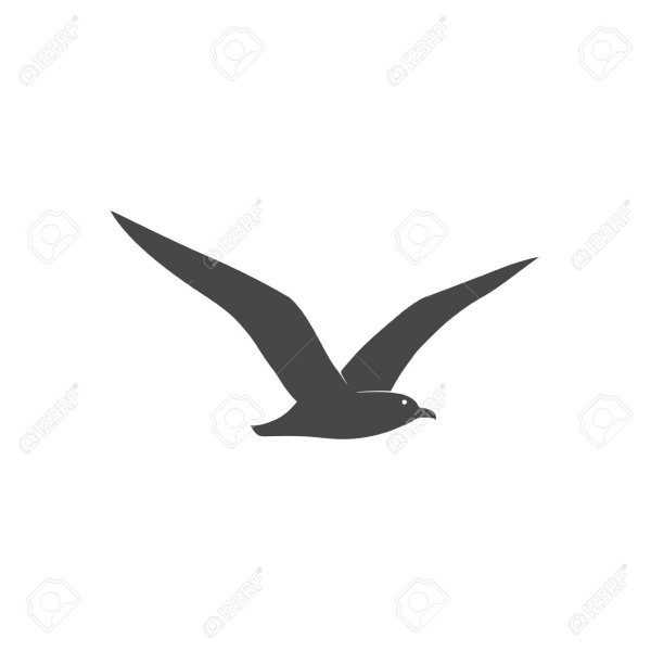 Чайки пиктограмма