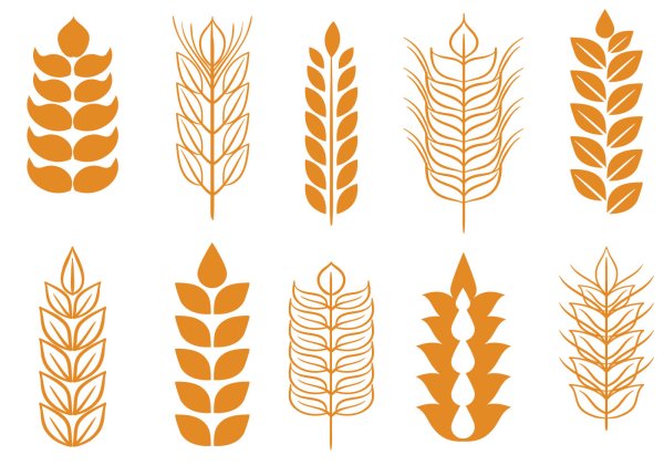 Стилизованный Колос пшеницы