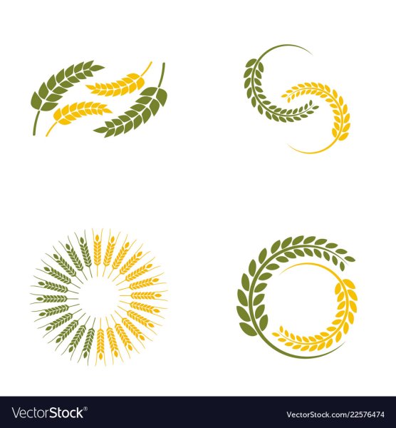 Колоски круговые вектор