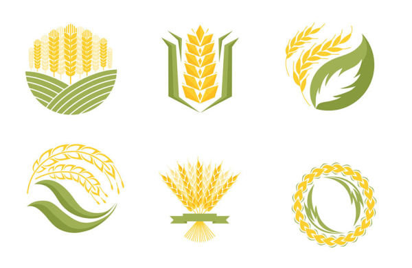 Зерновые колоски для логотипа предприятия