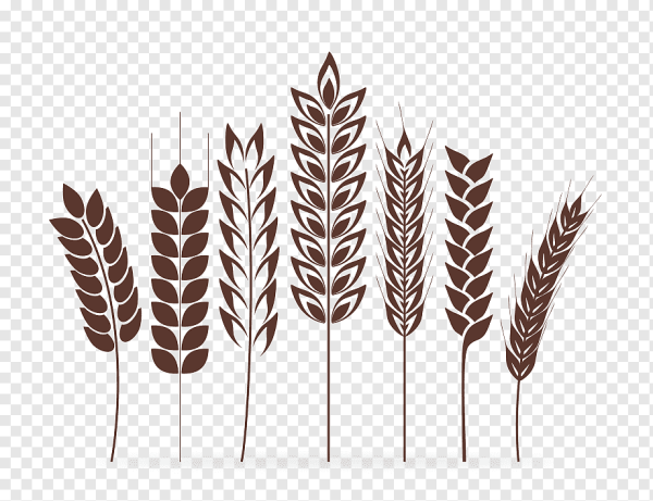 Стилизованные колосья