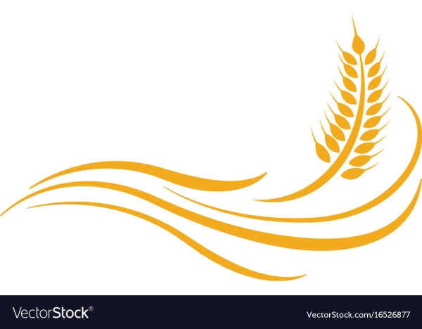 Колос логотип