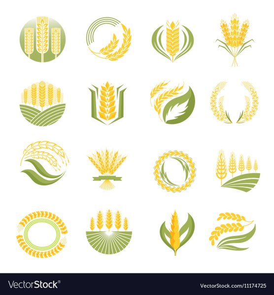 Сельскохозяйственные культуры