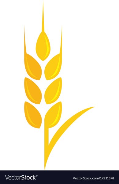 Стилизованный Колос пшеницы