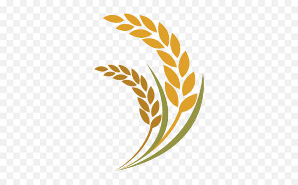 Символ Колос