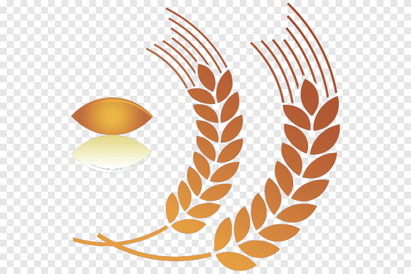 Пшеница логотип