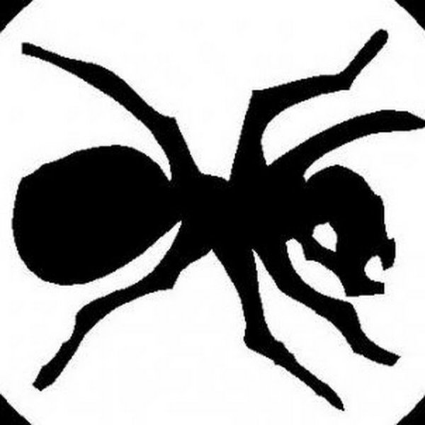 Группа the Prodigy муравей