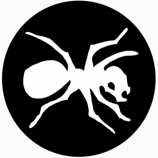 Логотип группы продиджи