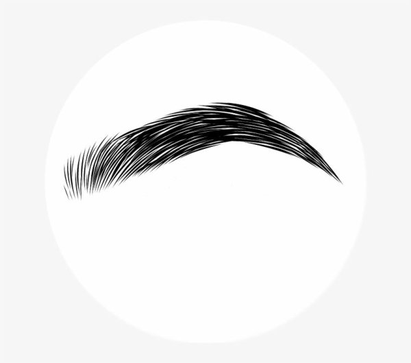 Брови на прозрачном фоне