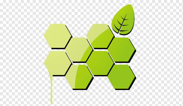 Соты логотип