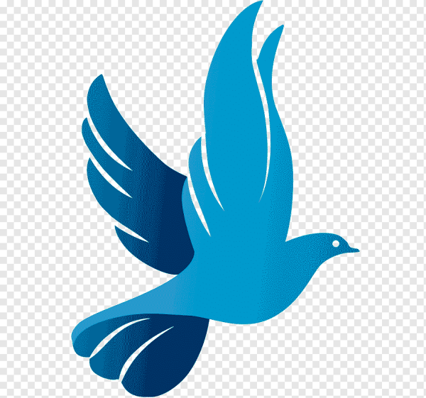 Логотип с синей птицей