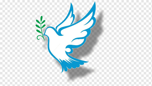 Голубка символ