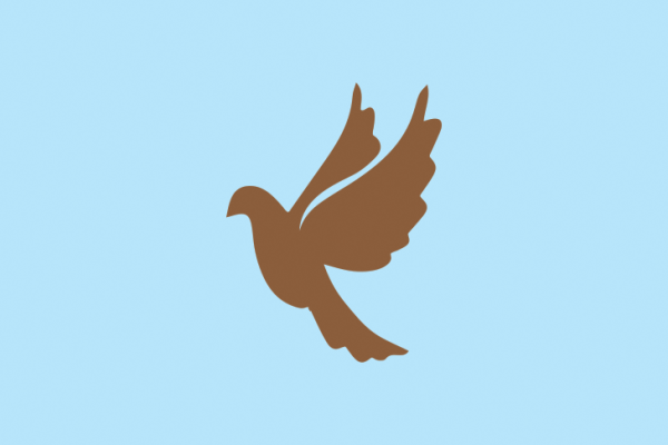 Голубь без фона