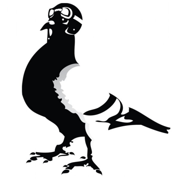 Голубь смешной вектор