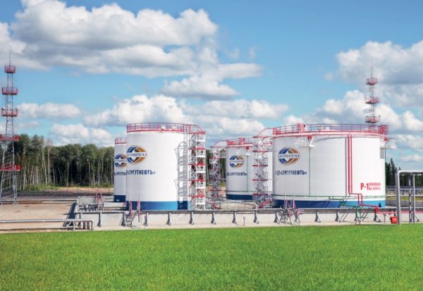 ПАО Сургутнефтегаз НГДУ