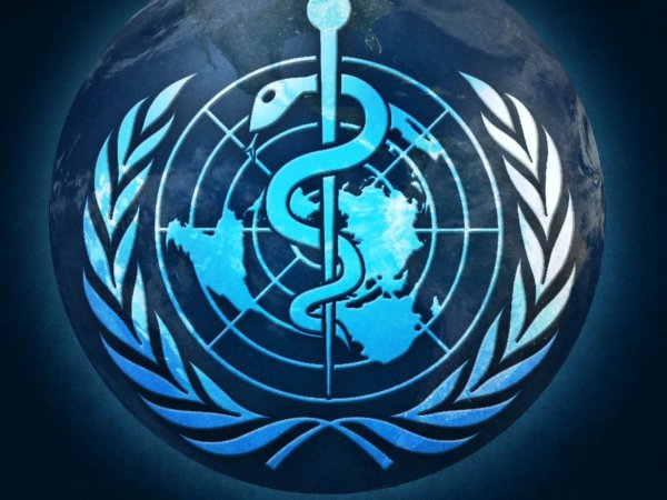 Организация здравоохранения