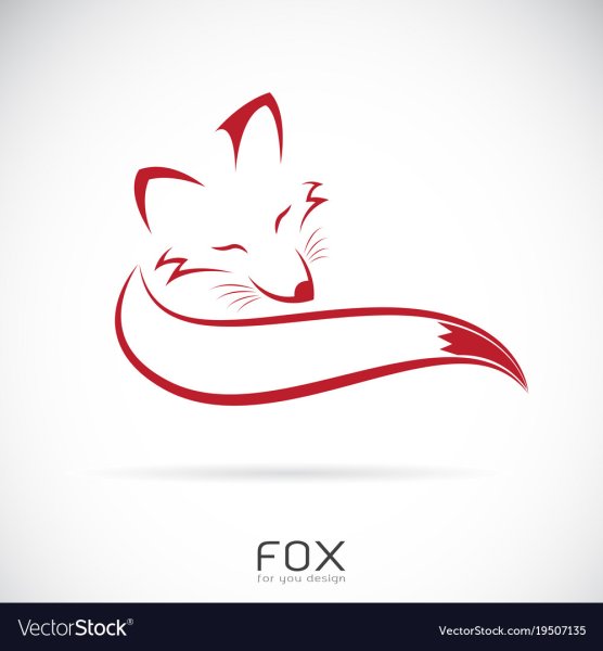 Красная лиса на белом фоне