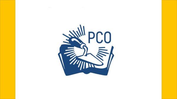 Российские студенческие отряды лого