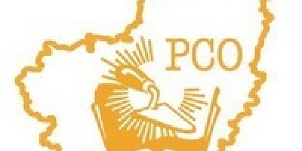 Российские студенческие отряды Шеврон