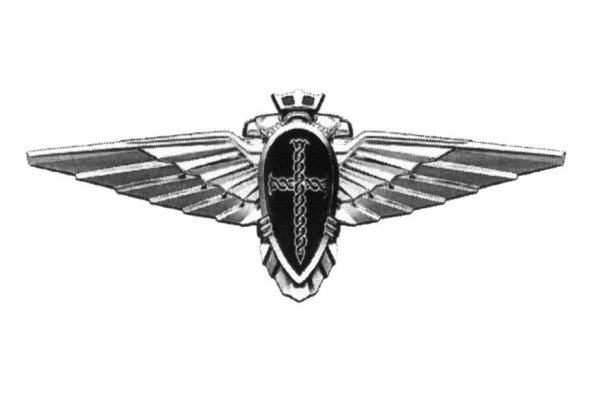 Щит и меч эмблема на машине