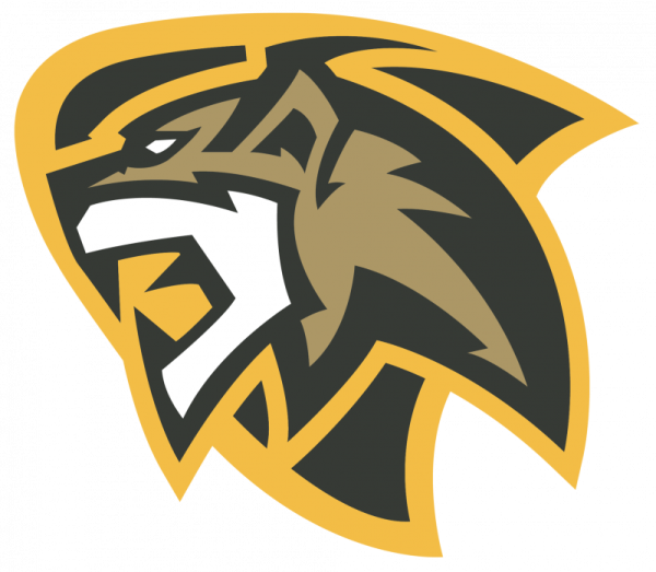 Логотипы для киберспорта