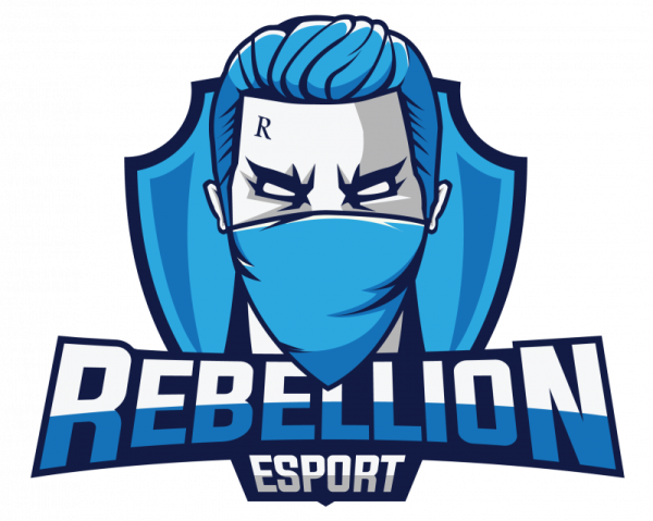 Наклейки киберспортивных команд CS go