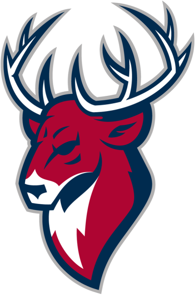 Хк Торпедо лого