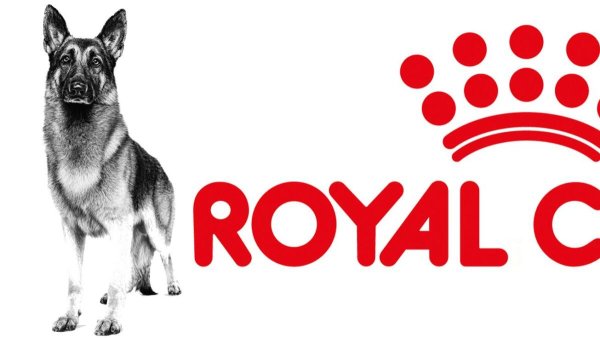 Royal Canin бренд