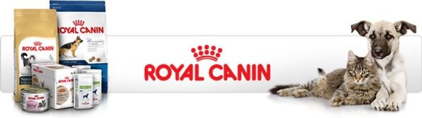 Royal Canin logo без фона