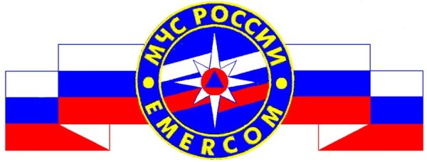 МЧС России Эмерком эмблема