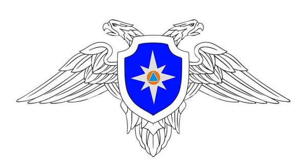 Орел МЧС ДНР