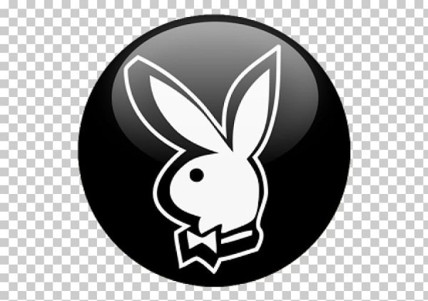 Кролик плейбой