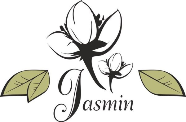 Цветок жасмина вектор