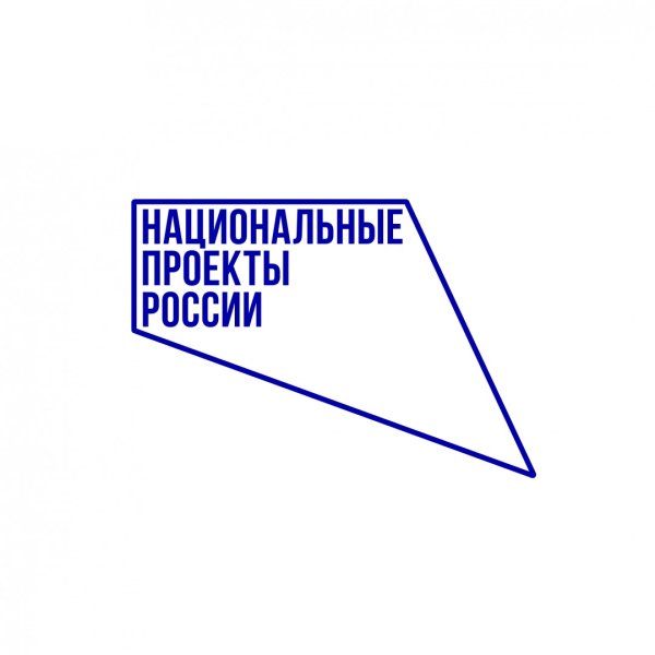 Национальные проекты России