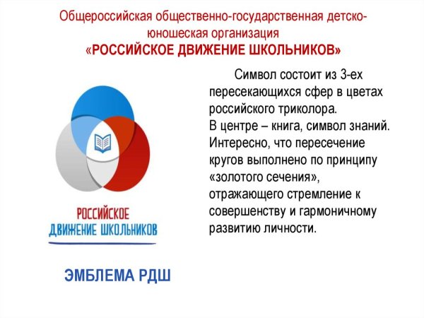 Российское движение школьников логотип