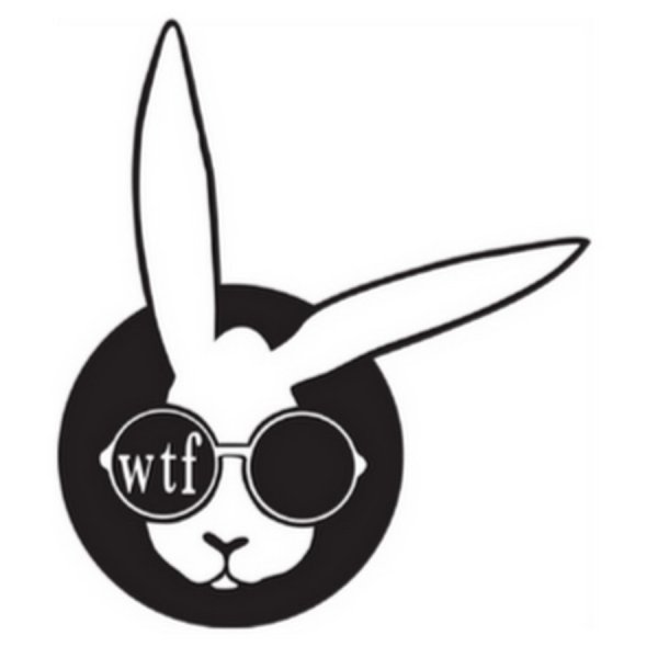 Кролик в очках вектор