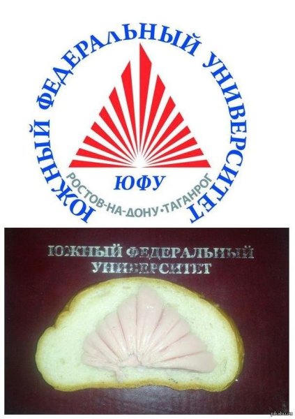 Южный федеральный университет logo